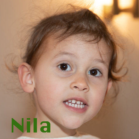 niem.jpg niem.jpg